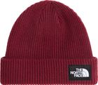 Salty Lined Beanie