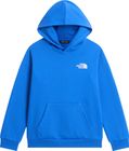 Teen Evolution Box NSE Pullover Hoodie
