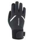 Rienz GTX