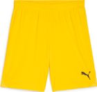 Teamgoal Shorts