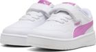 Court Lally AC Inf