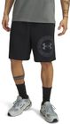 Rival LW Graphic Shorts
