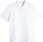 Verse Polo