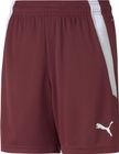 Teamliga Shorts Jr