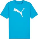 Teamrise Logo Jersey Cotton