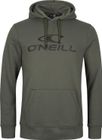 O'neill Logo Hoodie