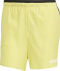 Terrex Multi Light Shorts