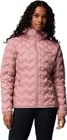 Delta Ridge II Down Hooded Jacket