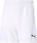 Teamrise Short