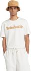 Mens Linear Logo Short Sleeve Tee