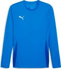 Teamgoal LS Jersey