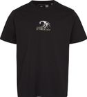 Dipsea T-shirt