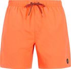 Faster Beachshort