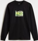 Visual Minds LS
