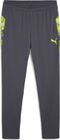 Individualcup Training Pants
