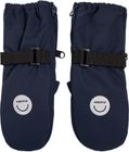 Alv Winter Mittens