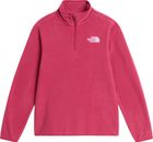 Teen Glacier 1/4 Zip Pullover