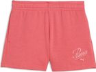 Essentials Script Shorts G