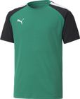 Teampacer Jersey Jr
