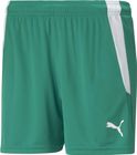 Teamliga Shorts W