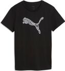 Graphics Lace Cat Tee