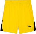 teamLIGA26 Shorts