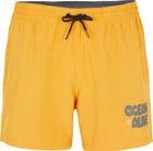 Packable 15'' Hybrid Shorts