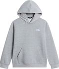 Teen Evolution Simple Dome Pullover Hood