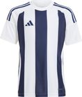 Striped 24 Jersey Kids
