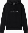 Train Logo Series W Hoodie RN Fancy Strass - Train Logo Series W Hoodie RN Fancy Strass