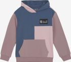 Sweat Hoodie Colorblock 742071