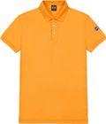 Short Sleeves Polo With Logo ON Sleeve