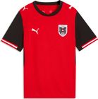 öfb Home Jersey Replica Jr