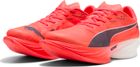 Fast-r Nitro Elite 3