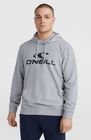 O'neill Logo Hoodie