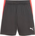 Individualliga Training Shorts 2 Jr (open Pockets)