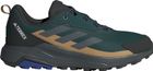 Terrex Anylander Hiking Shoes
