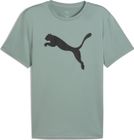 M TAD Essentials Solid Cat Tee (CF big Cat)