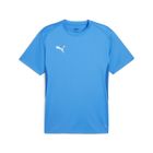 Teamgoal Jersey
