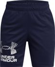 Tech Logo Shorts
