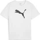 Teamrise Logo Jersey Cotton Jr