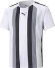 Teamliga Striped Jersey Jr