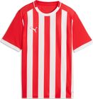 teamLIGA26 Striped Jersey Jr