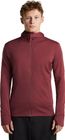 M Mer 260 Quantum IV Long Sleeve Zip Hoodie