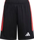 Tiro26 League Kids Shorts