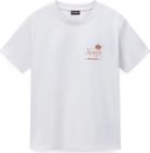 S-antimony Softshell W