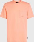 O'neill Chest Pocket T-shirt