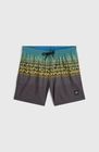 O'neill Logo Stripe Swimshorts