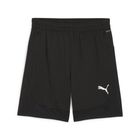 Teamfinal Training Shorts