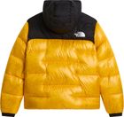 Womens Summit Nuptse Jacket